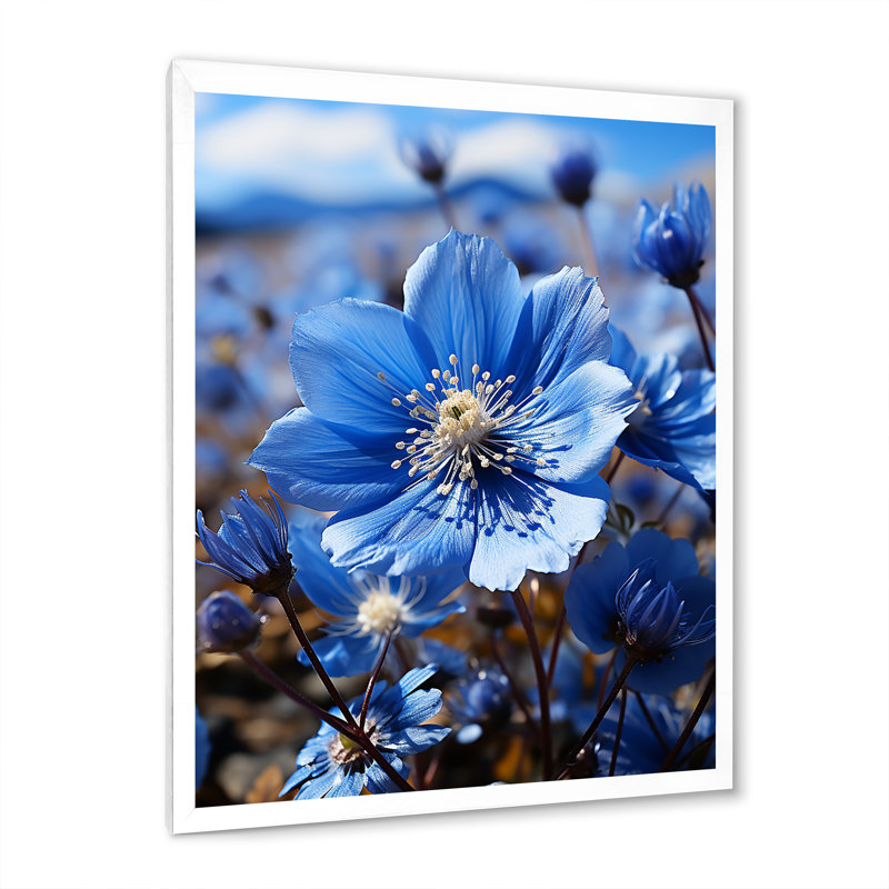 Blue Flower Cobalt Delight - Floral Wall Decor, Cadre simple blanc, H 32 po x l 24 po x P 1 po