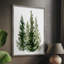 «Simple Evergreen II», reproduction encadrée - bois massif-1249500741
