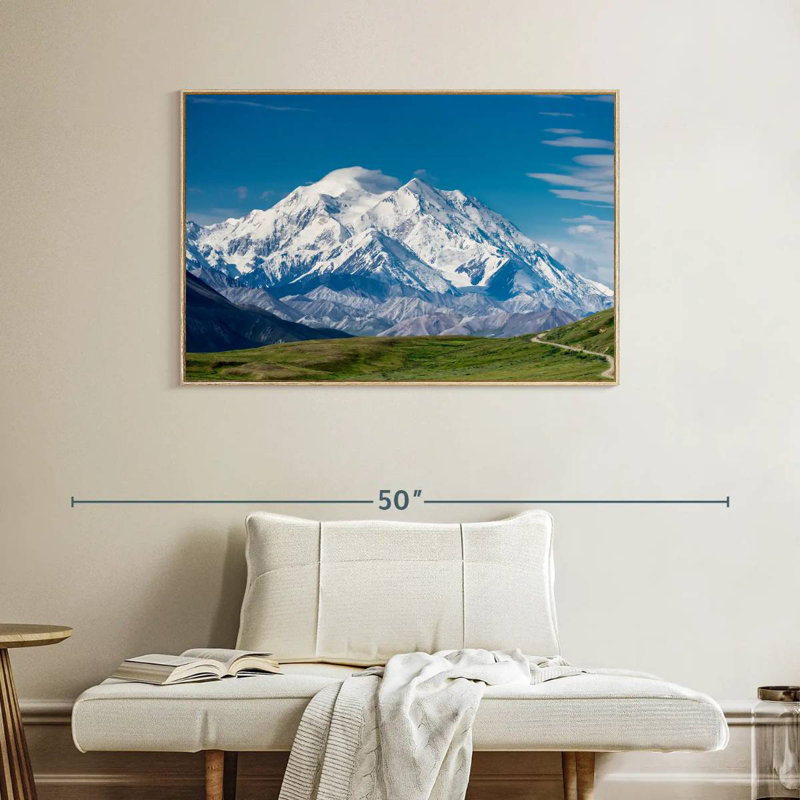 Mont McKinley Denali, Cadre flottant en bois naturel, 40 po x 27 po