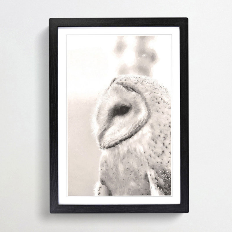 Watchful Barn Owl Bird - Picture Frame Graphic Art Print, 91cm H x 60cm W x 2cm D, Black