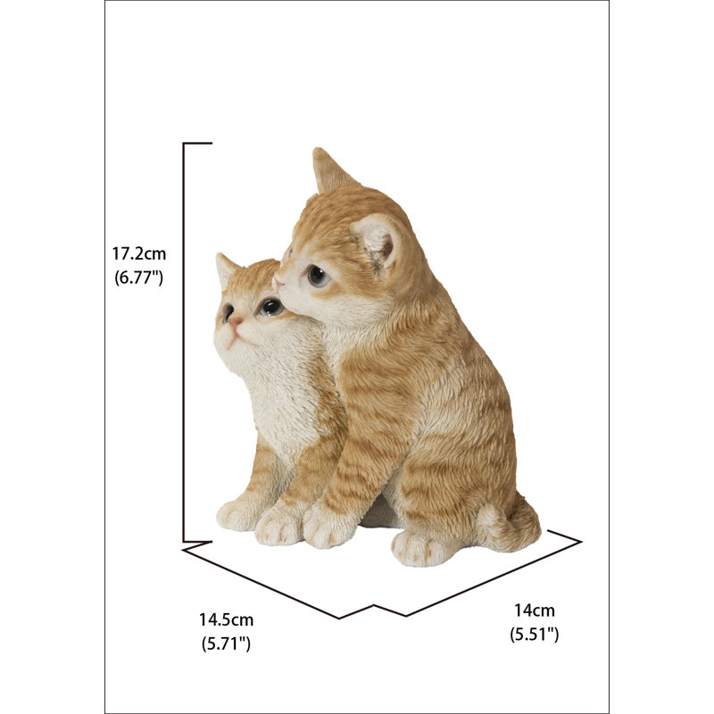 Chatons étreignant, Orange