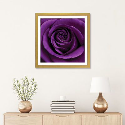 «Purple Rose I» par Tom Quartermaine - impression d'art graphique