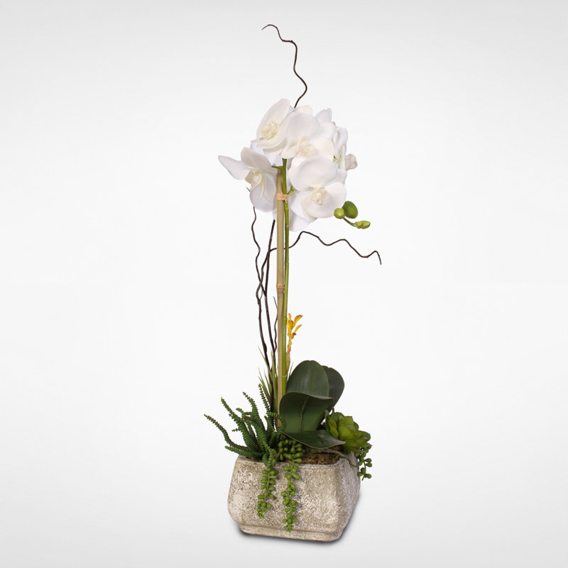 Silk Orchid Arrangement in Pot