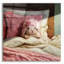 " Bed Hare " by Lucia Heffernan-99529569