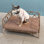 Lit pour chien en osier avec coussin de 2 po, canapé-lit en rotin pour petits chiens de taille moyenne - lit pour animal de compagnie intérieur / extérieur en métal jusqu'à 66 lb (coussin en rotin noir)
