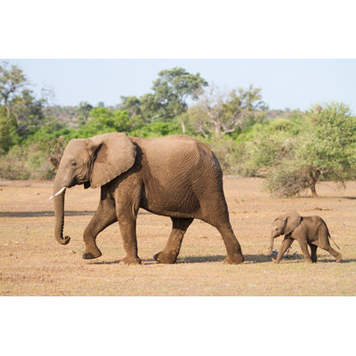Mother and Baby - Photographie sur toile tendue