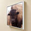 «American Bison IV» par Debra Van Swearingen - Impression sur toile-130836185
