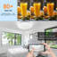 Glass Flush Mount