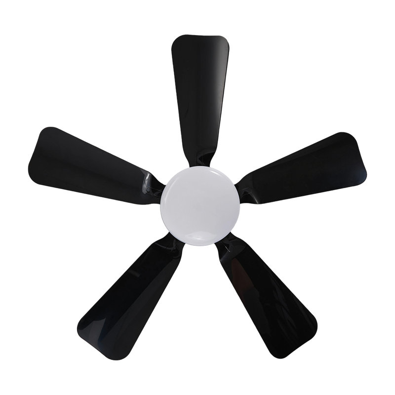 Ceiling Fan with LED Lights, Black