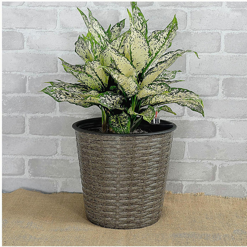 10.2" Self-watering Wicker Decor Planter for Indoor and Outdoor - Round - Grey, 9'' H x 10'' W x 10'' D, Gray