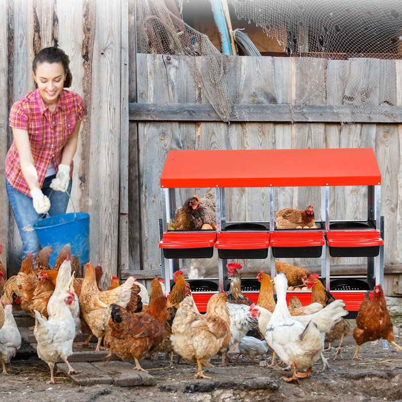 Egg Boxes & Baskets