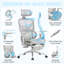 Chaise de bureau ergonomique en filet gris avec soutien lombaire à 3 zones, accoudoirs 6D et appui-tête 3D, dossier à 5 niveaux de hauteur et repose-pieds