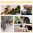177.8cm H Cat Tree