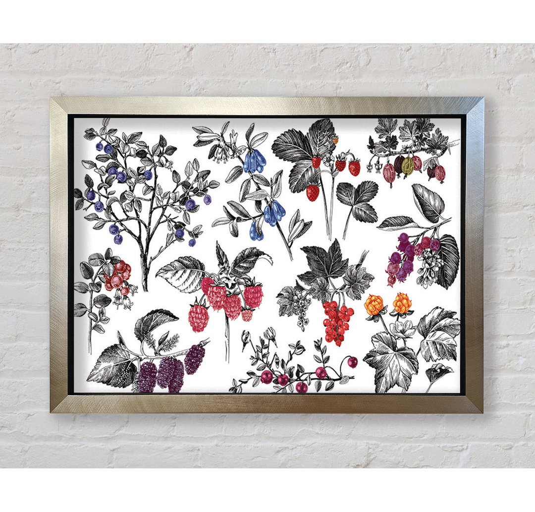 Collage aus Blumen und Beeren - Einzelne Bilderrahmen Kunstdrucke