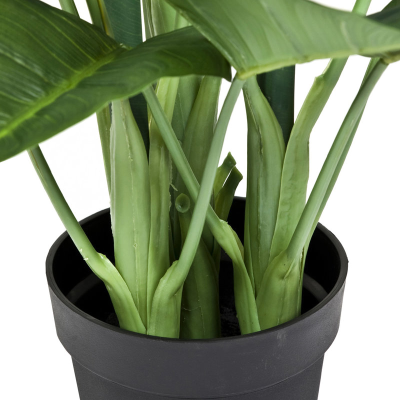 Plant, 136cm H x 21cm W x 21cm D