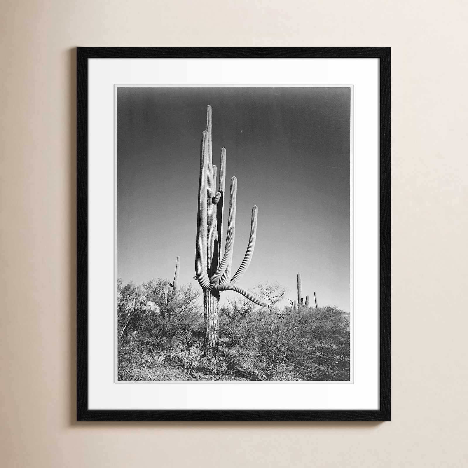 Saguaro National Monument Print by Ansel Adams, Black, 25.5" H x 21.5" W x 0.75" D
