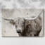 Toile tendue Longhorn-1513808426