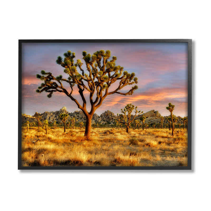 «Stupell Industries Savanna Trees», reproduction d'art sur toile par Dennis Frates, H 11 po x l 14 po x P 1,5 po