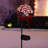 Outdoor Solar Candy Cane Lawn Stakes with LED Lights, 20"