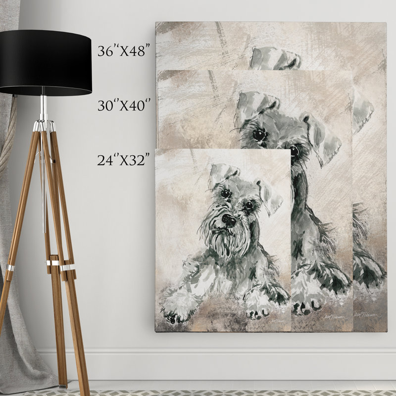 « sketchy study schnauzer » par carol robinson, reproduction d’art sur toile tendue, H 24 po x l 32 po x P 1,5 po