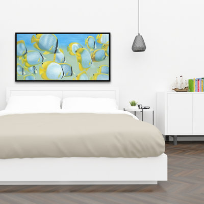 " Butterfly Fishes "