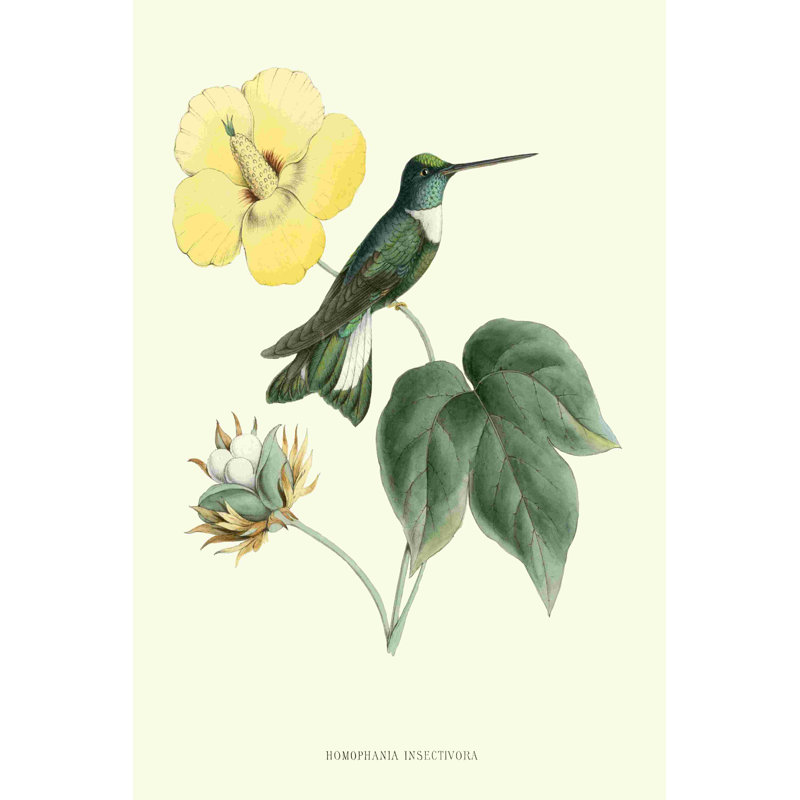 Colibri et fleur I, H 12 po x l 8 po x P 1,25 po