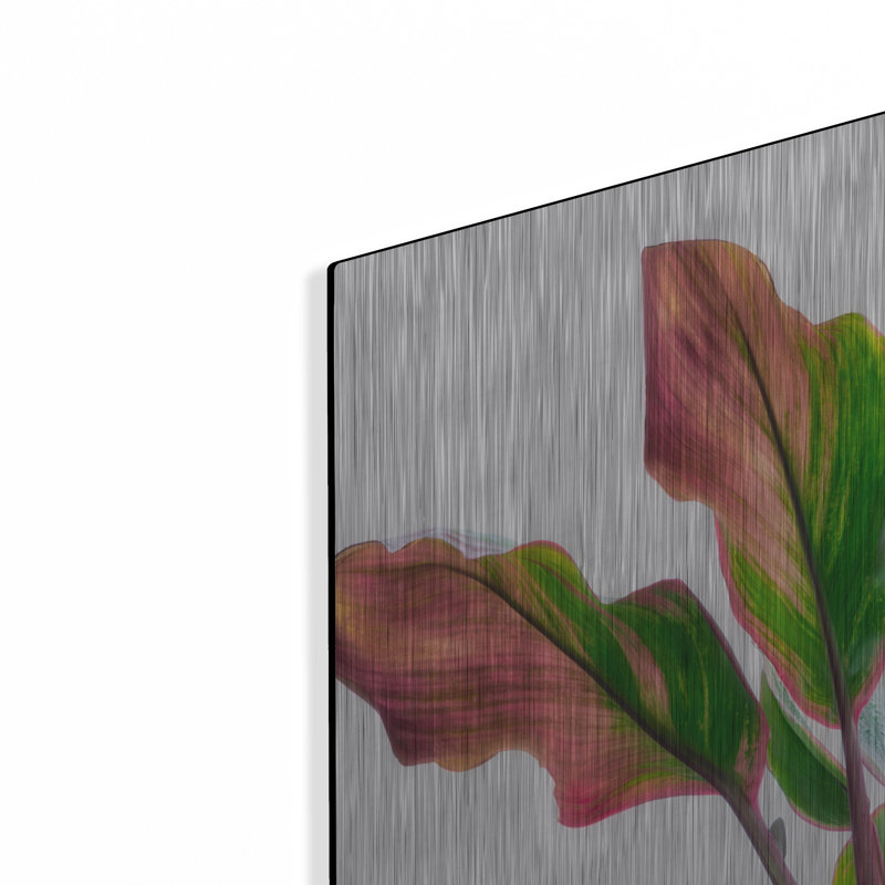 «Botanical» par Dennis Frates, H 12 po x l 16 po