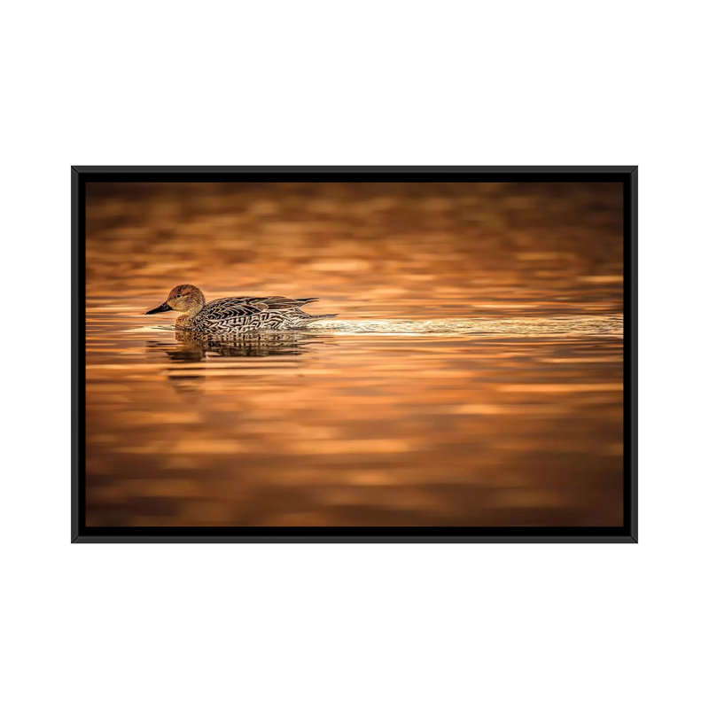 Canard sur l’étang doré, H 18 po x l 26 po x P 1,5 po, Toile avec cadre noir, Pas de tapis