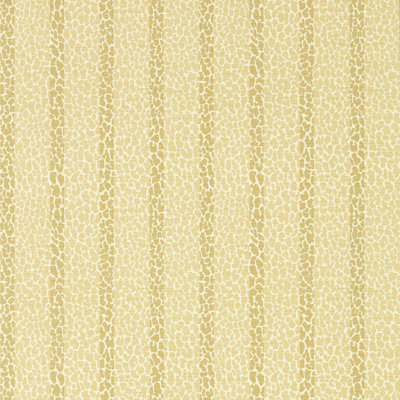 Lacuna Stripe