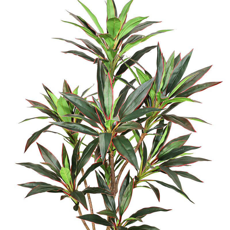 60 "Real Touch Dracaena plante en pot noir