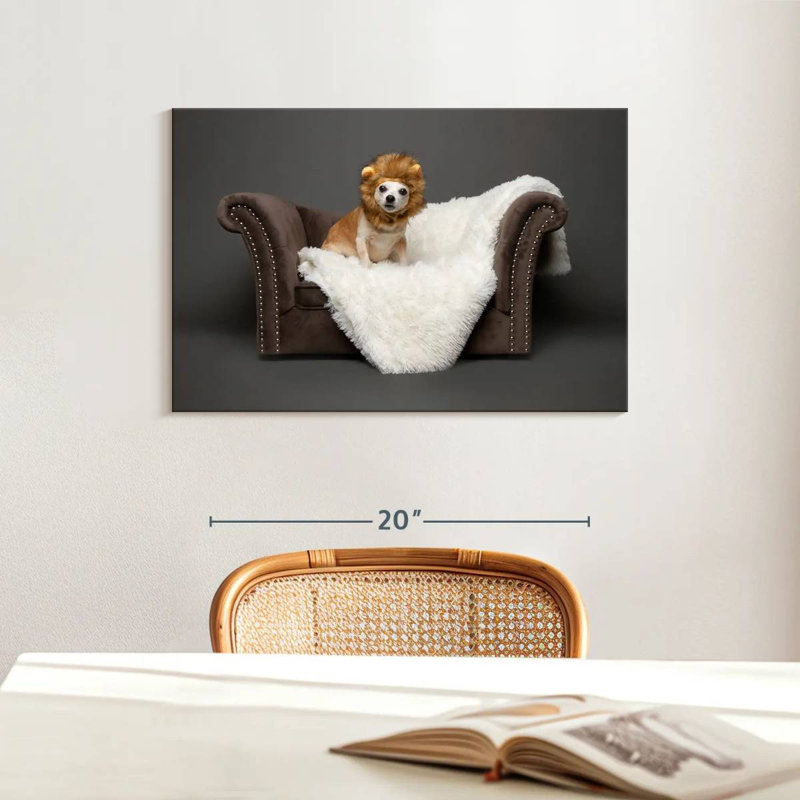 Ketti Funny Chihuahua Lion, 16" H x 24" W