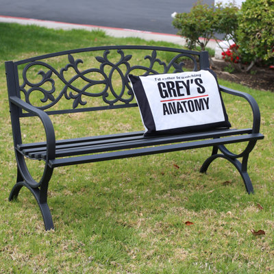 Arsheq Metal Garden Bench by Lark Manor