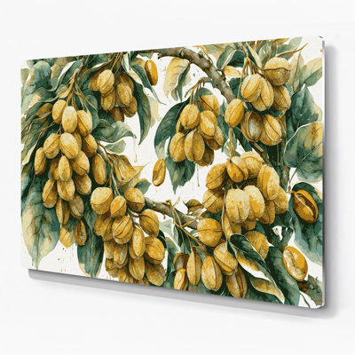 «Fruit Longan», art mural en métal brun
