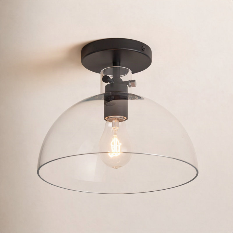 Martins Single Light Glass Semi Flush Mount, Black