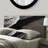 Troye Upholstered Panel Headboard-931369817