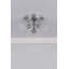 Arminta Glass Spotlight