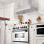 30" Professional 500 CFM Ducted Wall Mount Range Hood in Stainless Steel