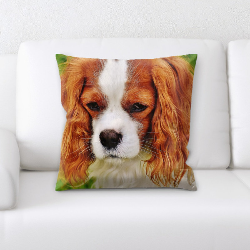 Coussin pour chien
