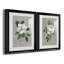 Magnolia botanique - ensemble de 2 reproductions d'art-512224786-512224796-512224784