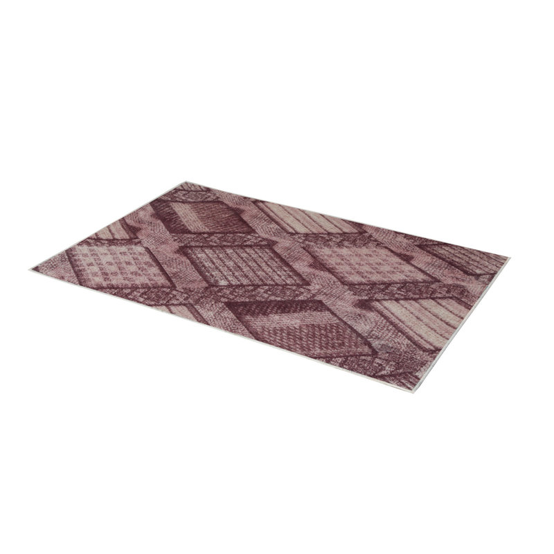 Premium Hall Carpet, 3D Digital Printed, 39.4 x 59.1 Inches | 100% Polyester, Antibacterial, Non-Slip Underside | Pile Height: 0.04 Inches, Machine Washable, Ideal for Living Room & Entryway Decor
