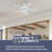 Viretta 42'' Ceiling Fan with Light Kit-2119452124