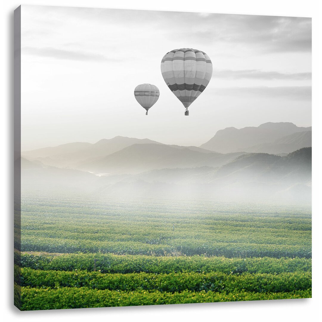 Leinwandbild Heißluftballon mit Landschaftsblick