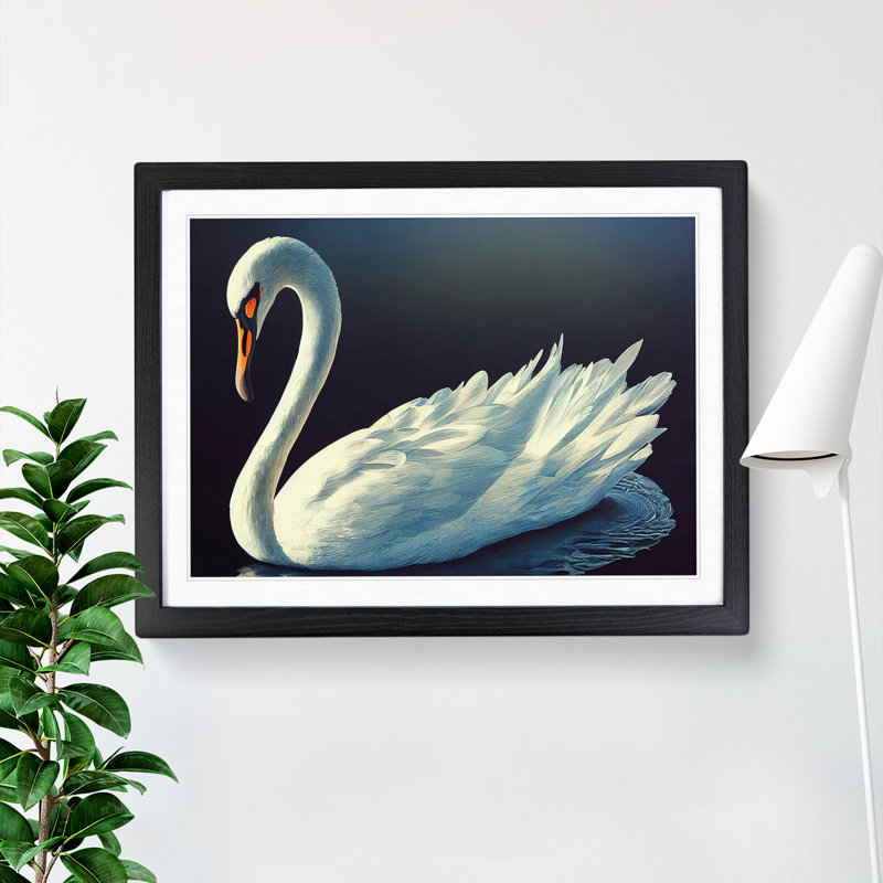 Appealing Swan - Single Picture Frame Print, Black Framed, 46cm H x 64cm W x 2cm D