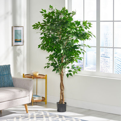 Ficus artificiel