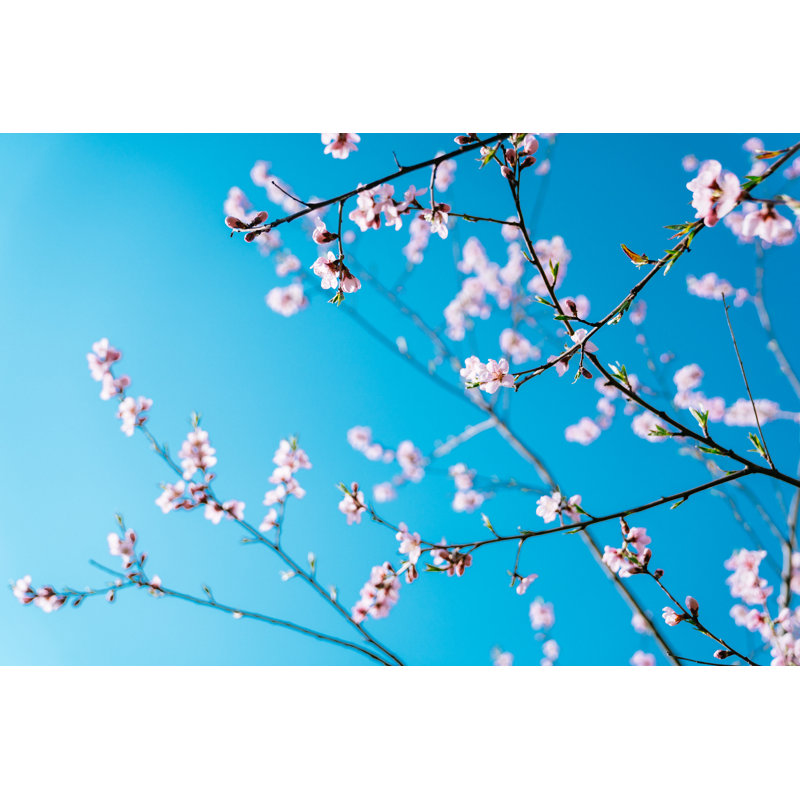 Spring scene, 81cm H x 122cm W