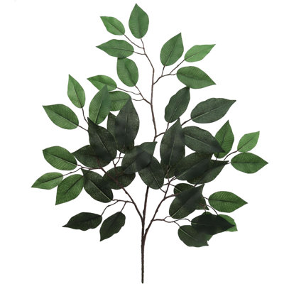 Ficus Spray 24" - 24 Pack