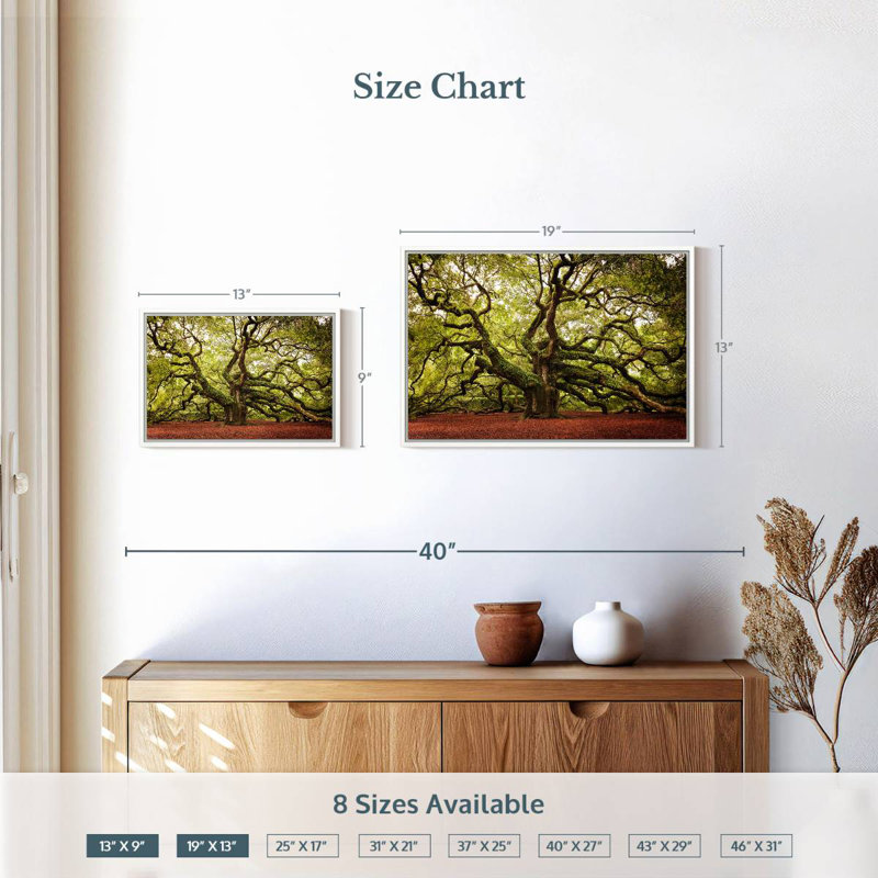 Chêne Charleston Angel, Cadre flottant blanc, 19 po x 13 po