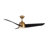 Thalia 54'' Ceiling Fan with LED Lights-95320079-95320080