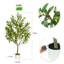 Andreita Faux Olive Tree in Pot-1804508156