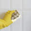 First Concept Inc Double Latex Needled Coir Scrub Pads